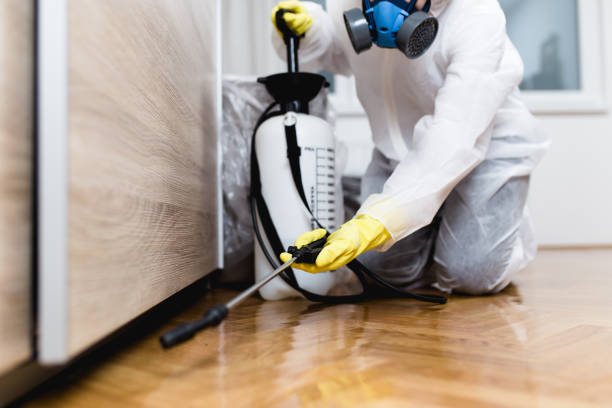 Best Affordable Pest Control Services  in Shullsburg, WI