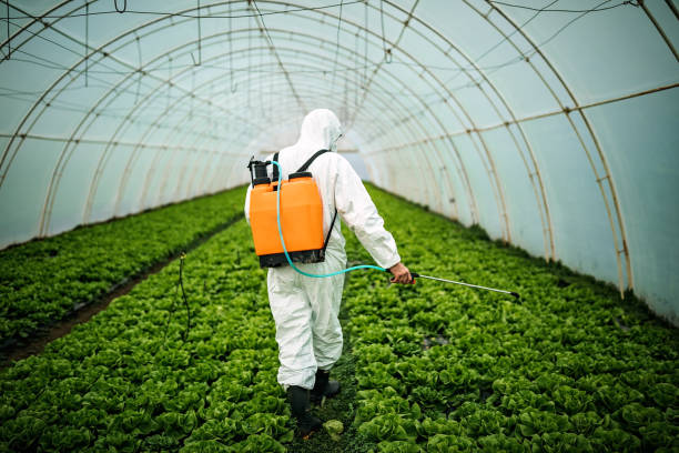 Best Mosquito Control Services  in Shullsburg, WI