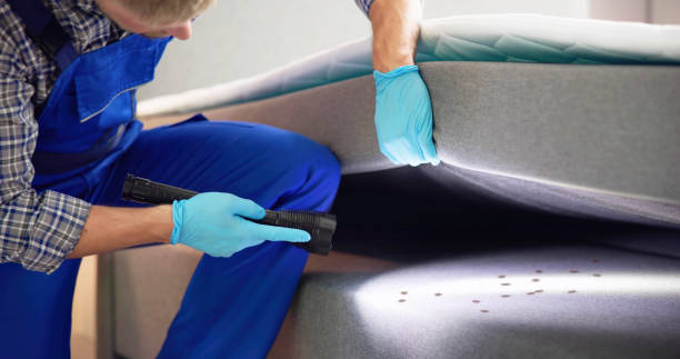 Best Pest Inspection Near Me  in Shullsburg, WI