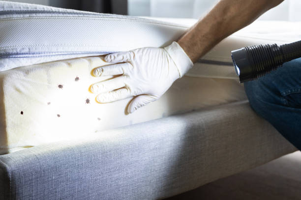 Best Pest Control for Businesses  in Shullsburg, WI