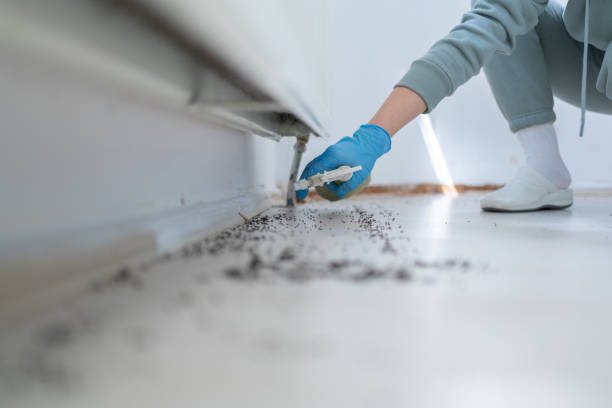 Best Ant Control Services  in Shullsburg, WI