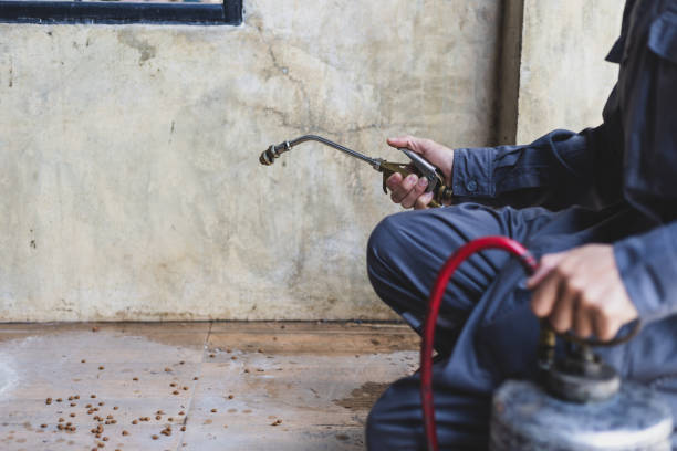 Best Exterminator Services  in Shullsburg, WI